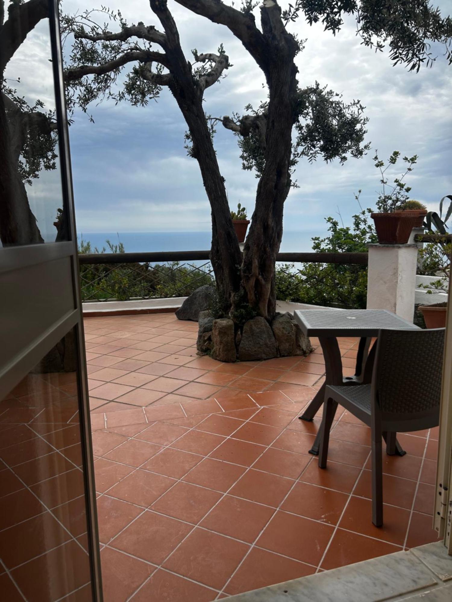 Punto Azzurro Hotel